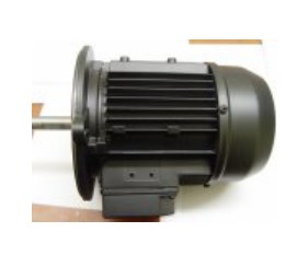 MOTORE 1,10KW 3F 220-230V/50HZ LAMBORGHINI Z301011480 Прочее